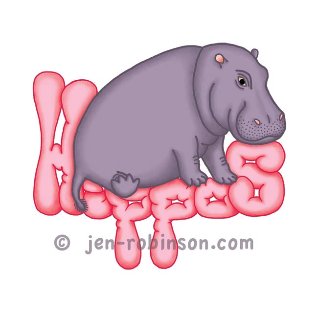 pink  version of my squashy hippo design for Redbubble