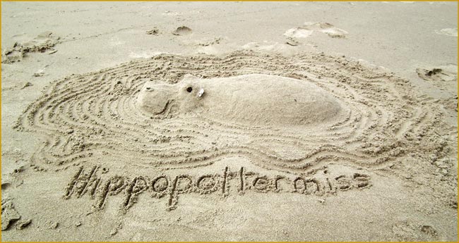hippo sandcastle