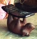 mon tabouret hippopotame après cuisson